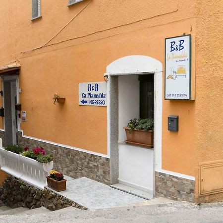 B&B La Pianedda カステルサルド エクステリア 写真